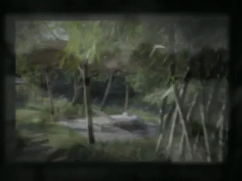 Where Are The Best Bali Beach Villas?