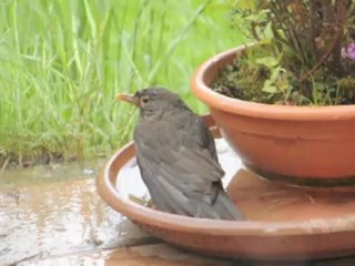 Val de Sambre : Un instant de douceur