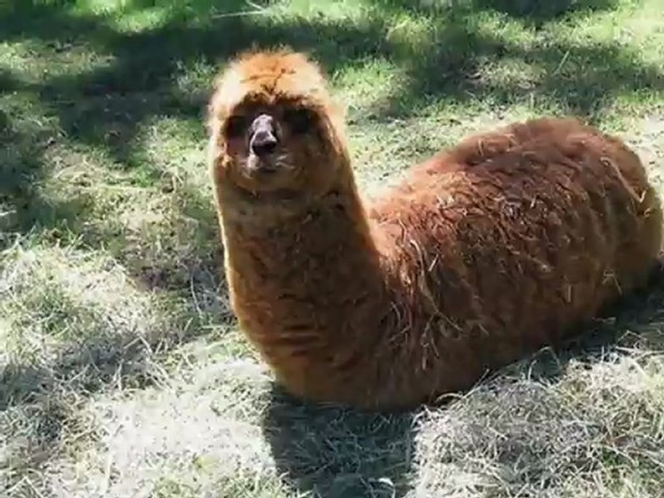 Wytłumacz to zdjęcie # (16)