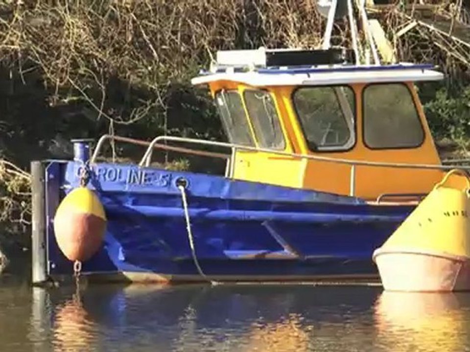 Démo Les chats perchés