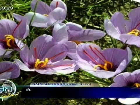 โลกยามเช้า วันที่ 24 มิถุนายน 2555