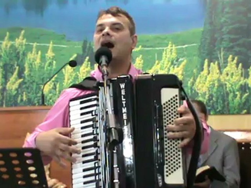 VIOREL BORŞ (D-l e aici...)