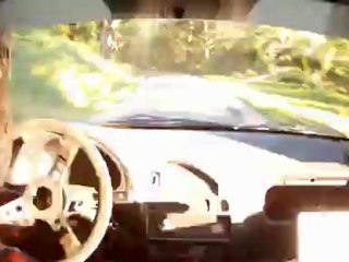 Ecureuil 2012: ES8 Comps BUISSON/LIGER