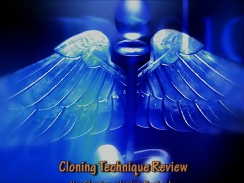 Let's Grow Mushrooms! 2.1 - Cloning Mushroom Tissue