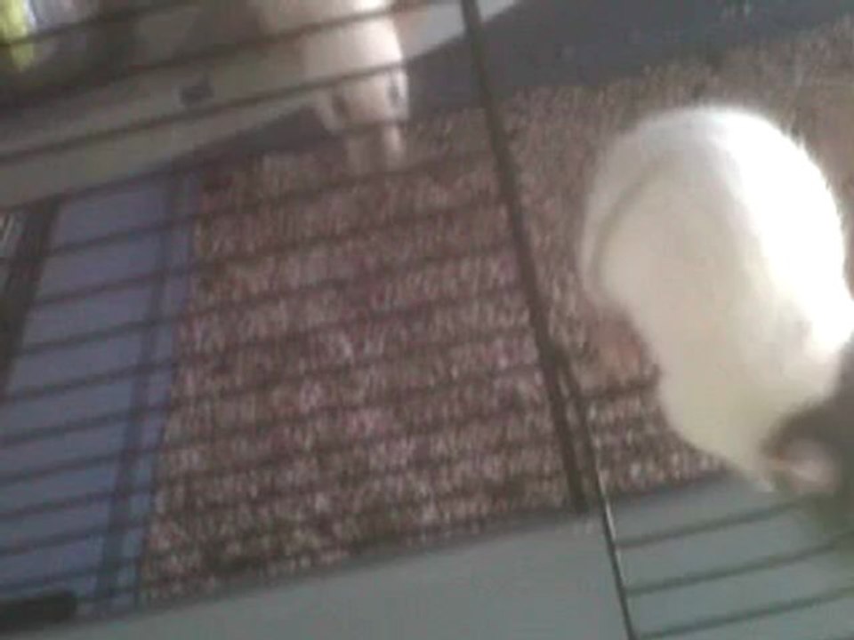 VID 00006-20120617-1905