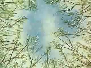 L'homme qui plantait des arbres - The Man Who Planted Trees (1987)