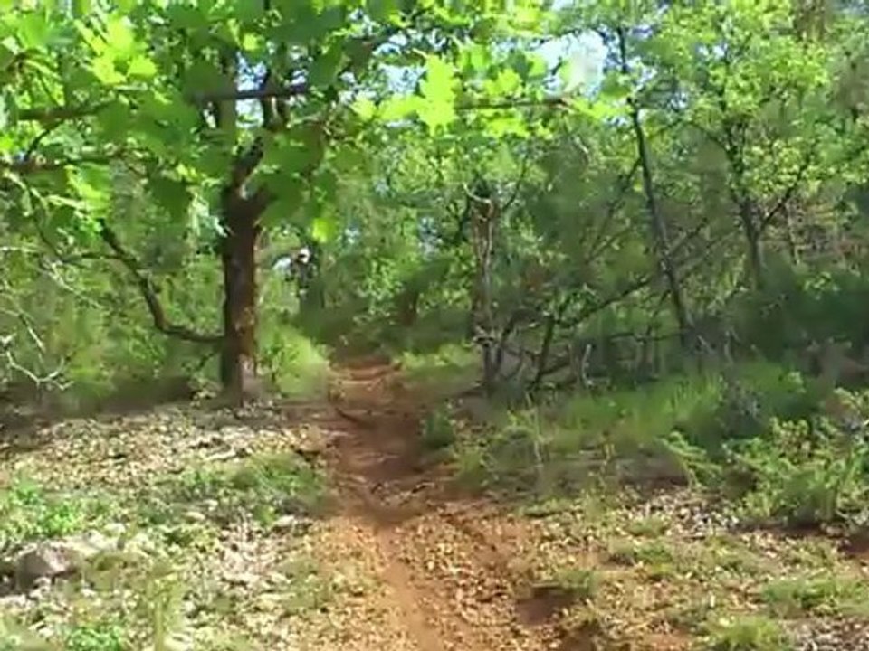 MOV_0076