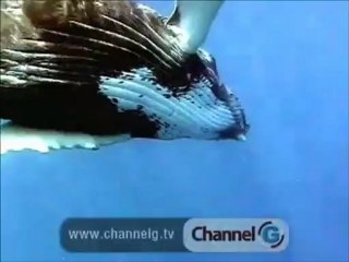 lets Hit The Beach (Face Full Of Fist / The Forgotten Wheel)