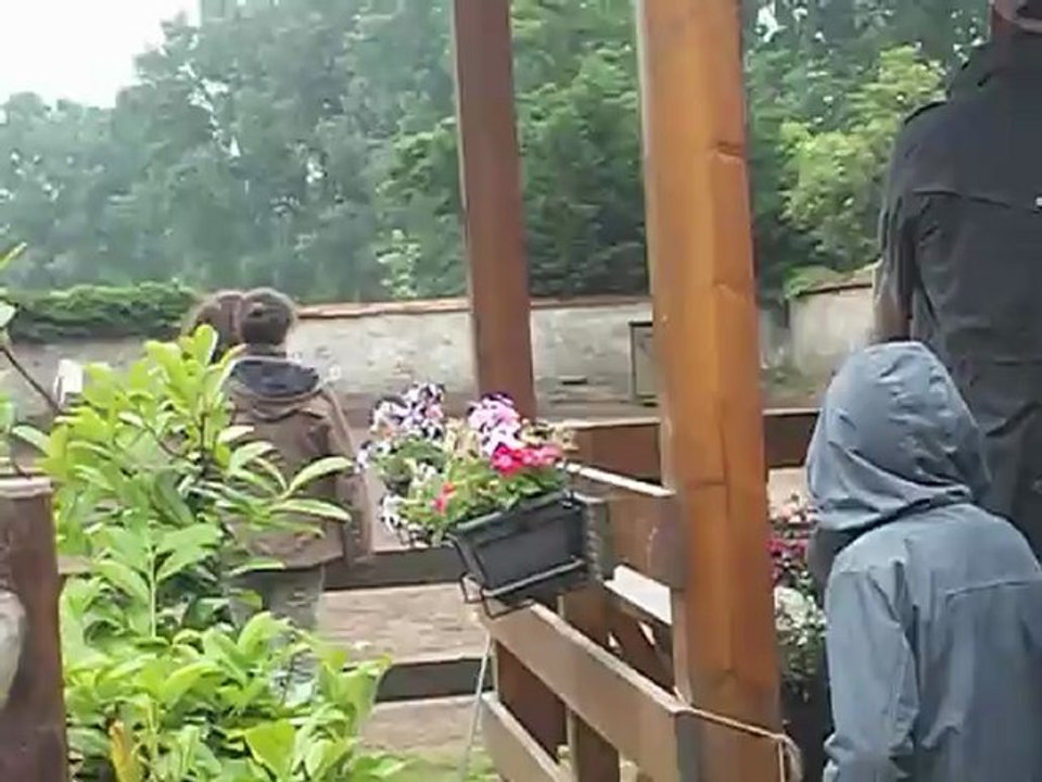 100_4699