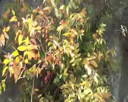 Adamkayaları Mersin,Akkum pansiyonları,Akkum Pansiyonları Fiyatları,Akkum Pansiyonaları rezervasyonları