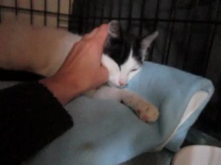 Capucine se détend 2