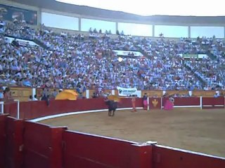 ENCERRONA CON VICTORINOS DE FERRERA EN BADAJOZ