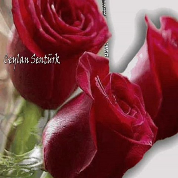 biz ikimiz birden yalancıymışız