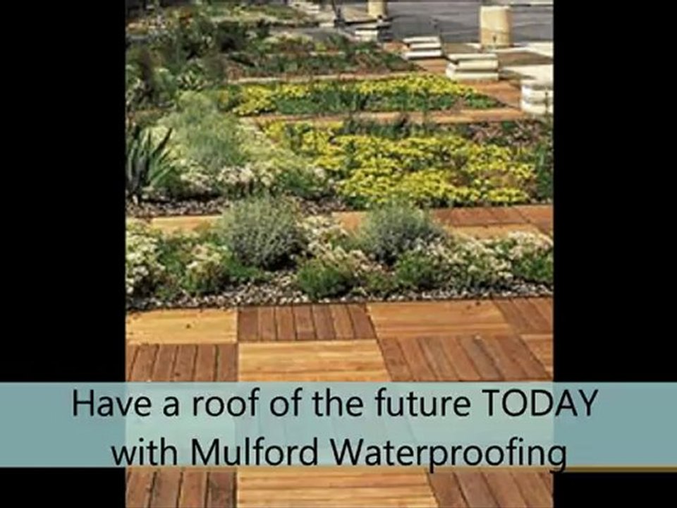 Experienced Roofing Contractor Dunedin NZ
