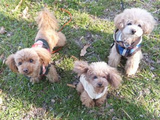 2012+riku+9th+birthday