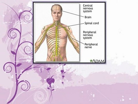 Mikron ordnet Voraussagen Behandlung Reaktion im ZNS Erkrankungen: einfache Methode zur Vermeidung von gefährlichen Nebenwirkungen?, micron associates, micron associates blog news, madrid spain, barcelona, hong kong news