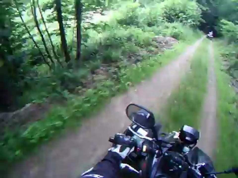 Rando du 24062012 Vive les pommes