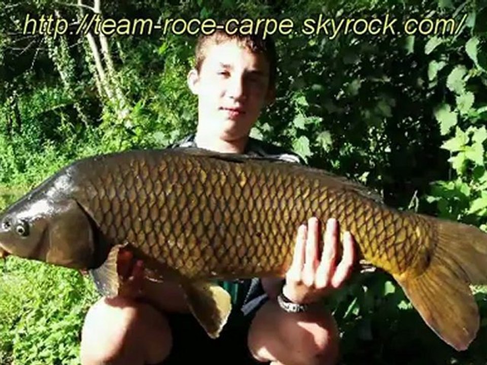 pêche à la carpe départ en direct.