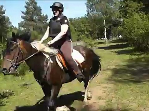 dur dur la découverte du cheval pour mon homme avec un cheval têtu...