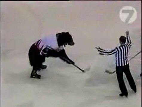 Ours joue au hockey sur glace