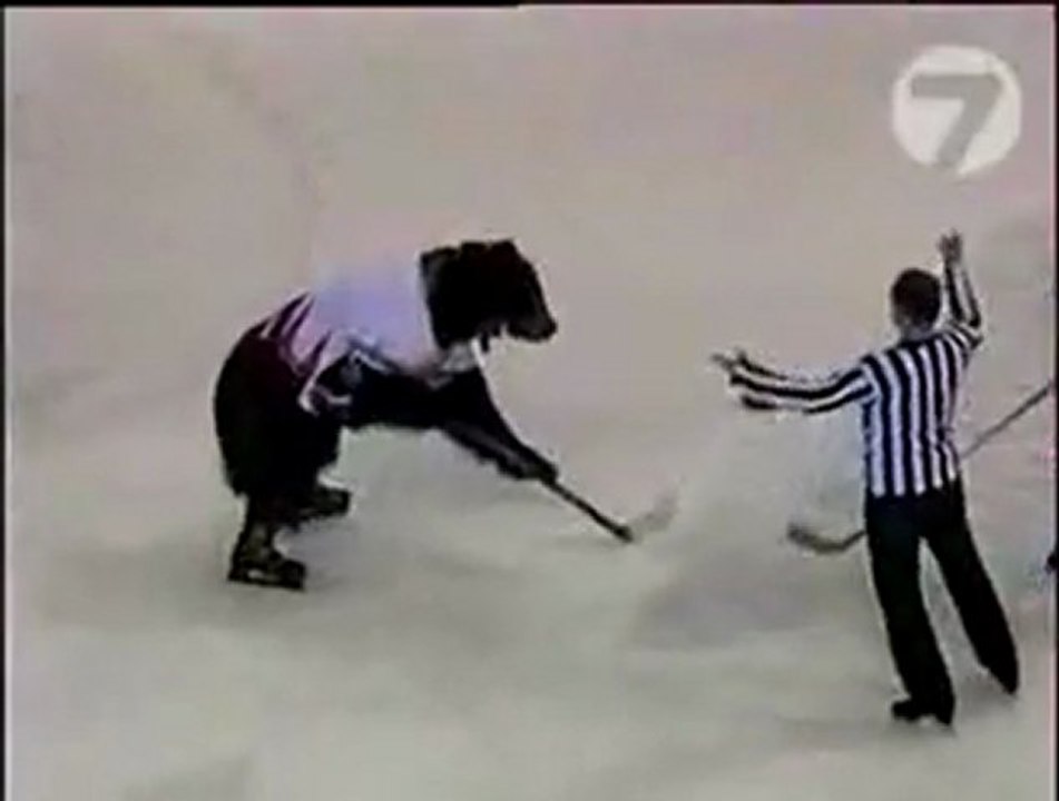 Ours joue au hockey sur glace