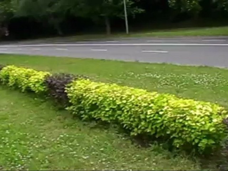 Koszalin w pierwszy dzień lata