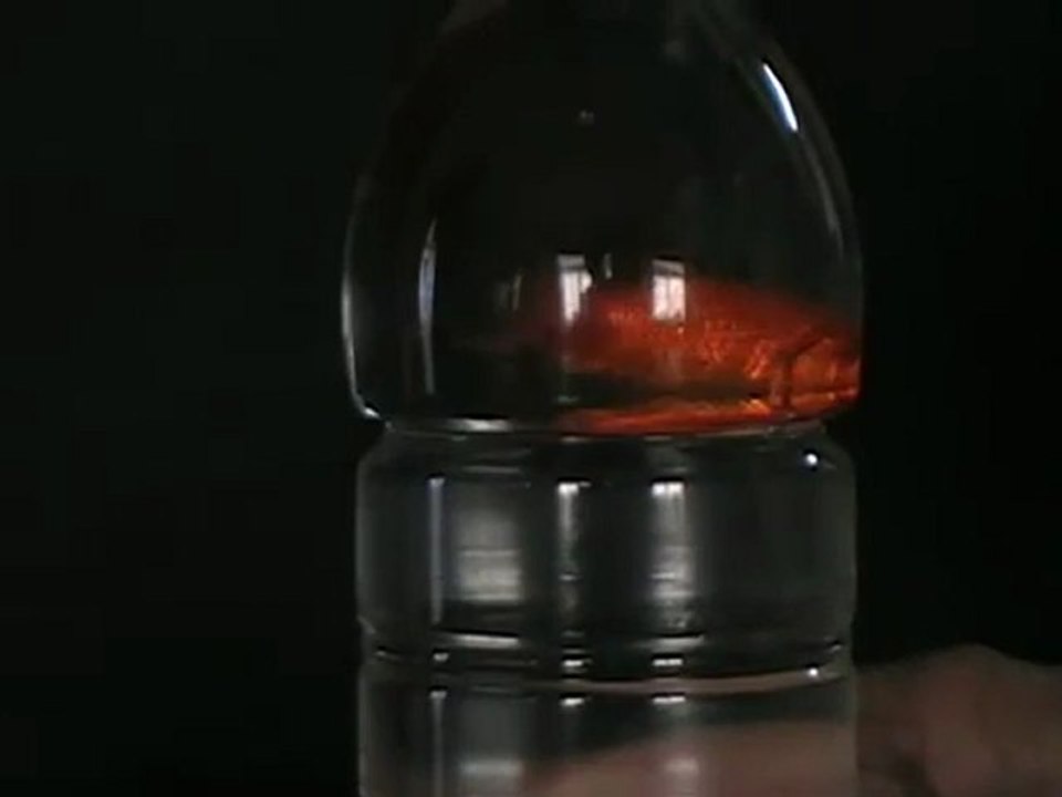 fish bottle