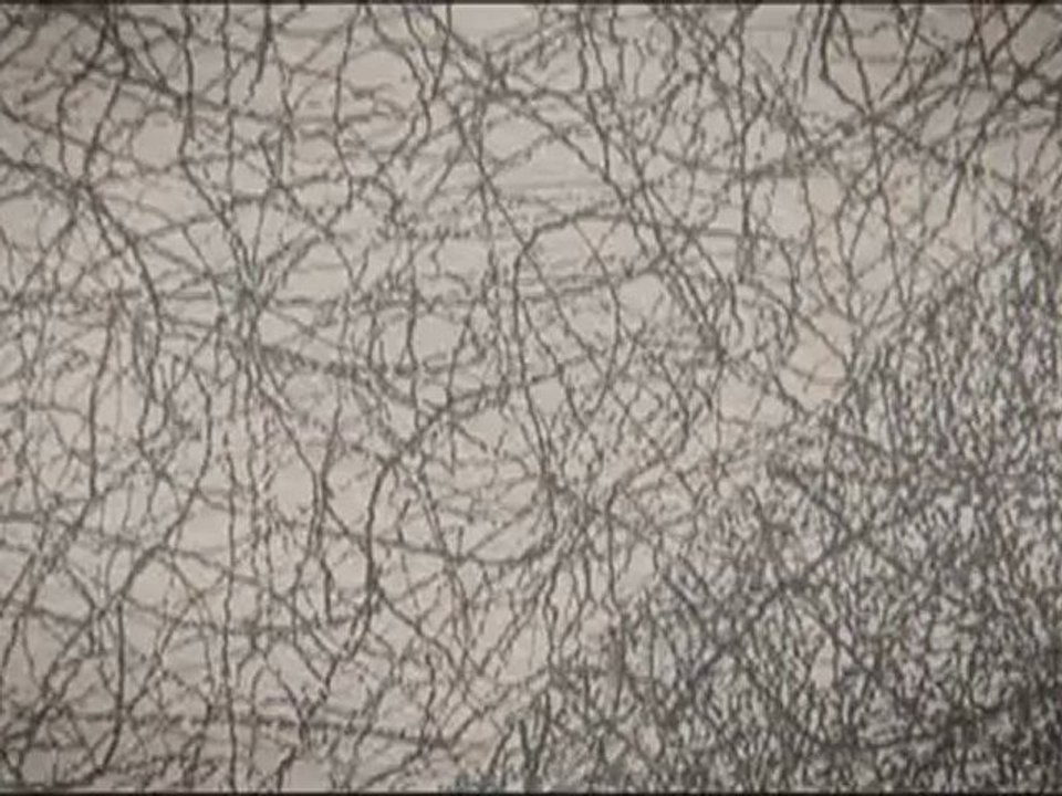 OTTO : La minute d'art contemporain, Sol LeWitt, Wall Drawing #1171