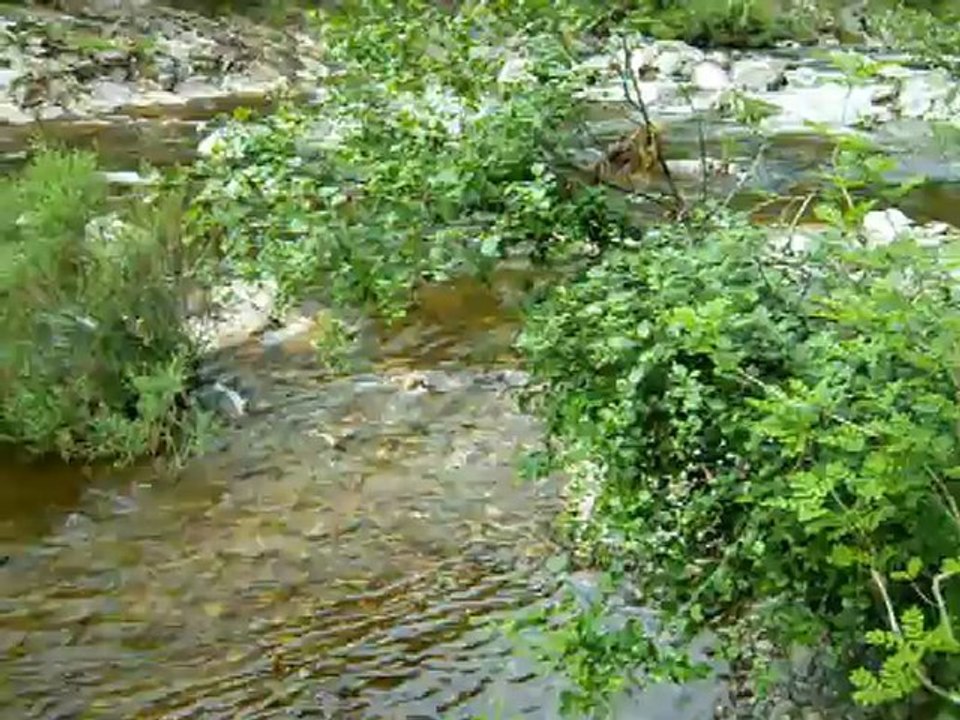 Le Saut de la Saule, Bort-les-Orgues (Corrèze)