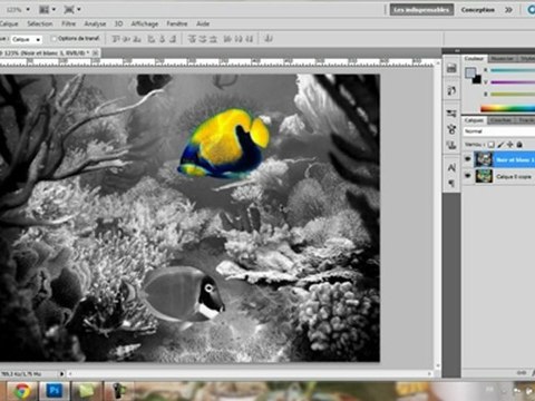 Creatiim - Photo en noir et blanc avec touches de couleurs