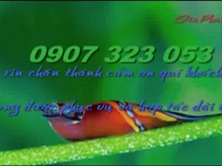 Bao gia son sua nha quan tan binh call 0907 323 053