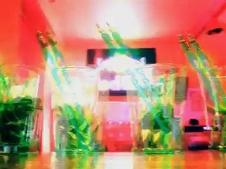 DISCOTHEQUE LE PALACIO