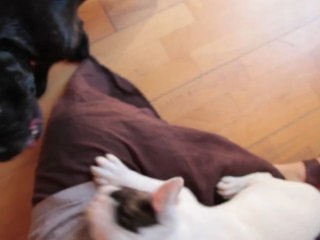 Ayé ! Gilda et Colette jouent ...25 juin 2012 le matin