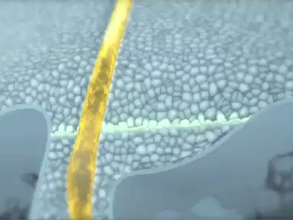 NORMADERM_triactiv