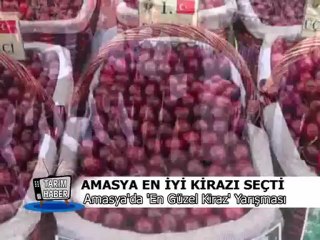 AMASYA EN İYİ KİRAZI SEÇTİ