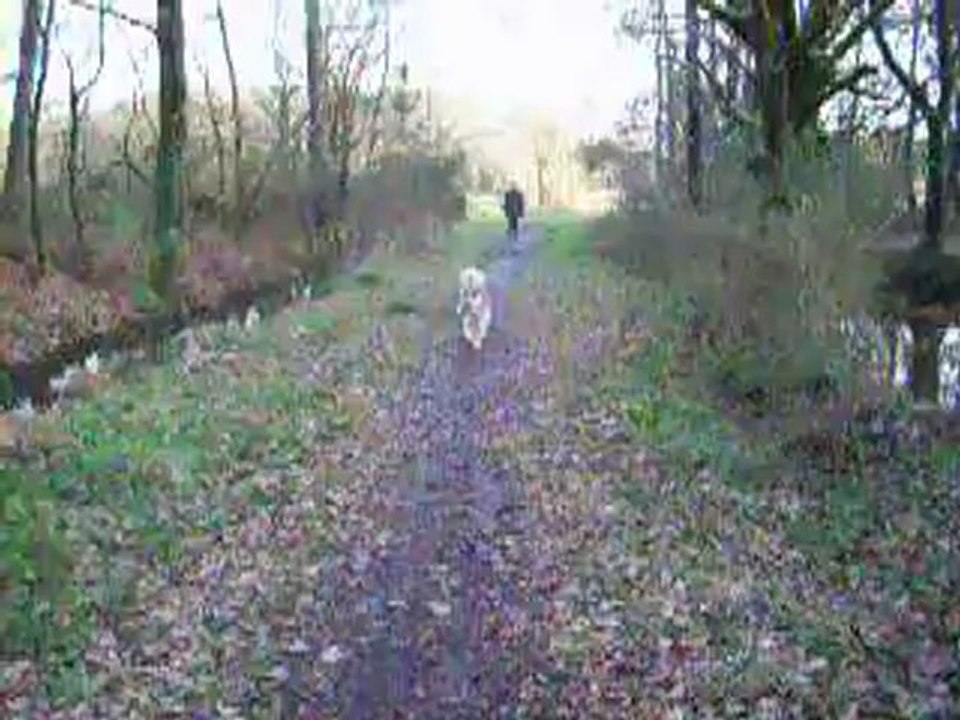 En promenade avec Nora et Diane
