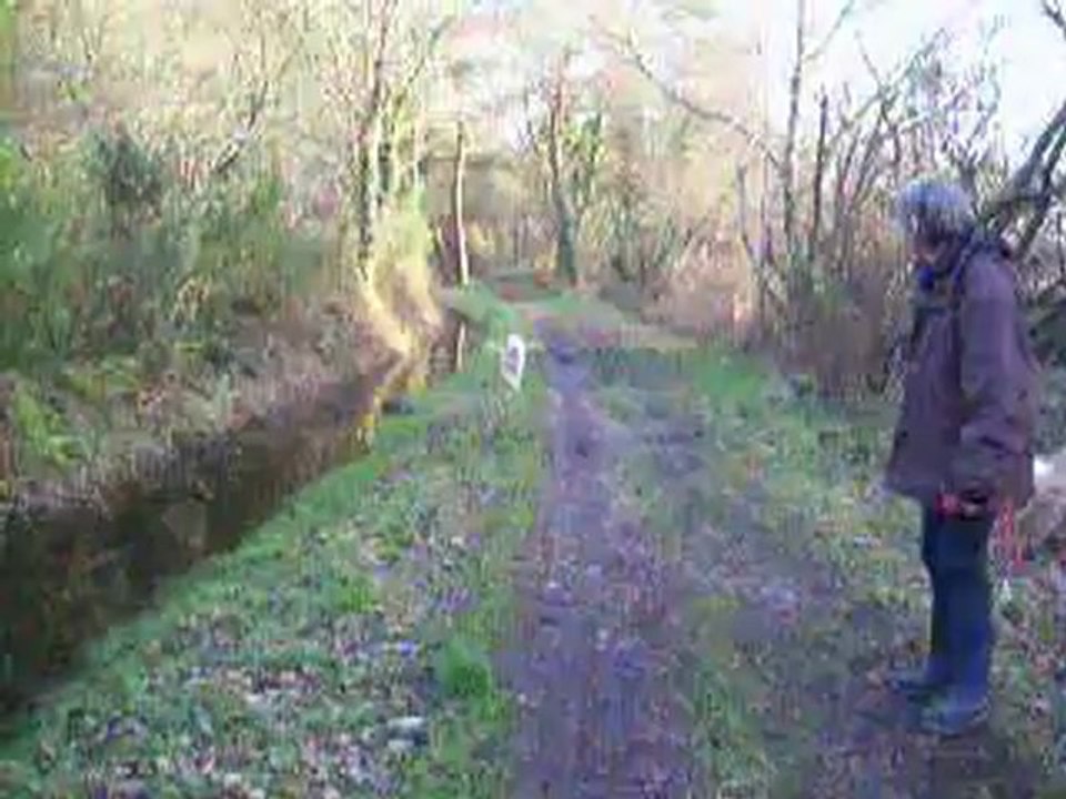 En promenade avec Nora et Diane printemps 2011