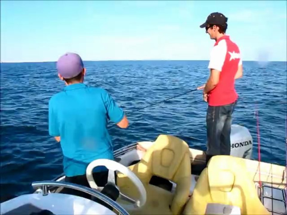 Session marine avec docteur Will et mister Flo