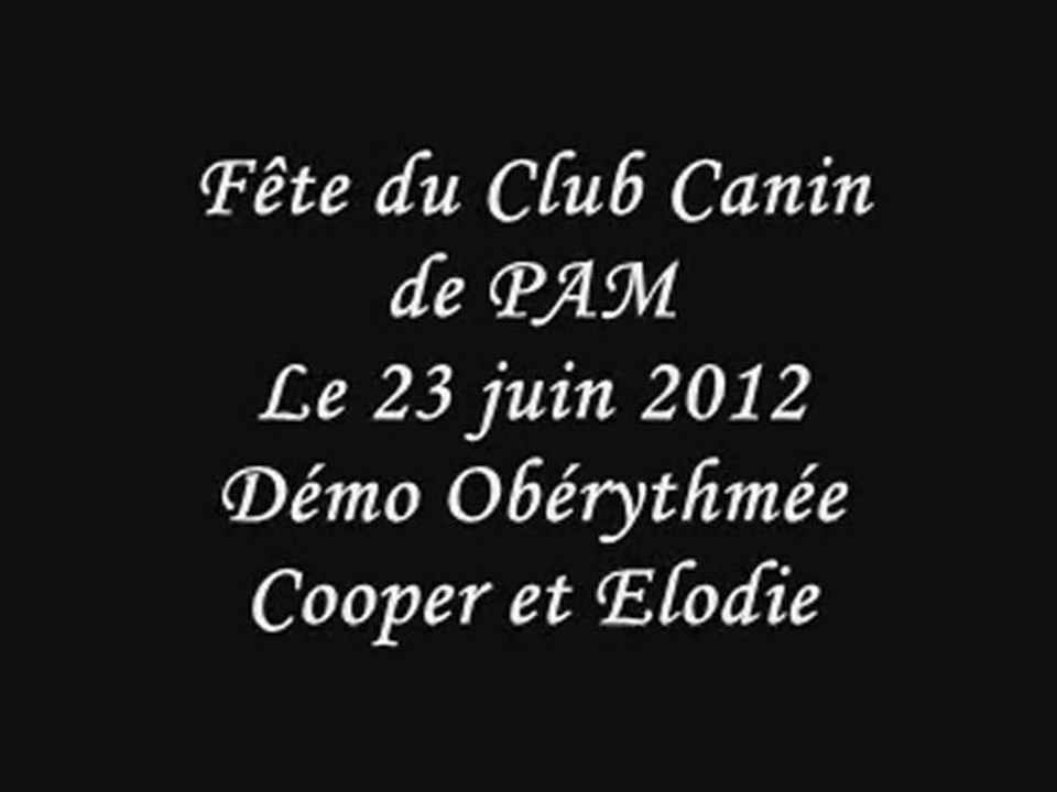 Fête du club canin - demo oberythmée Cooper-