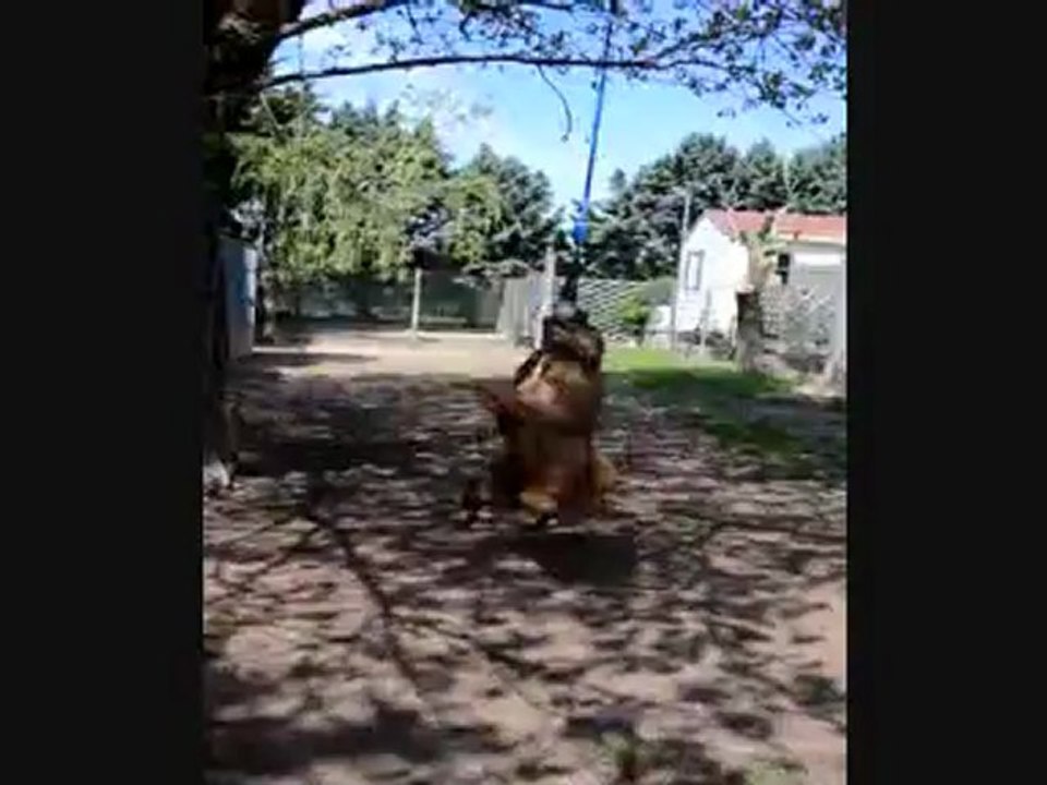 Djessy vs Dj