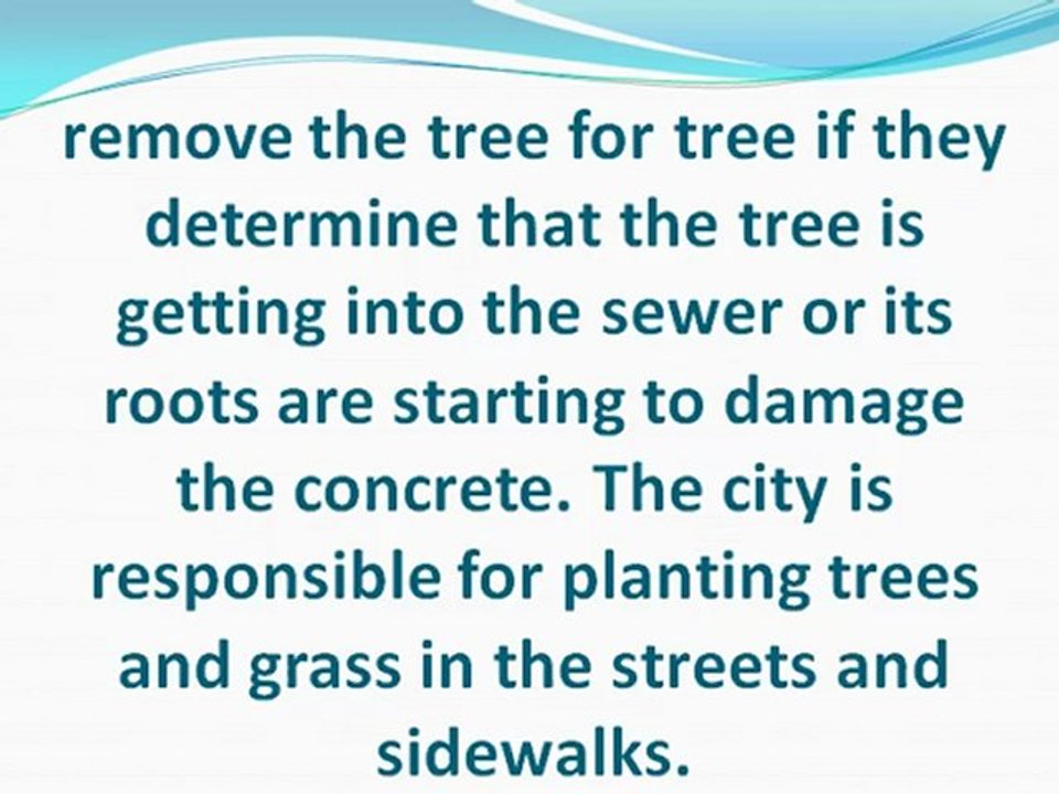 Determining the Costs of Tree Removal