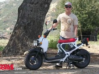 Honda Ruckus