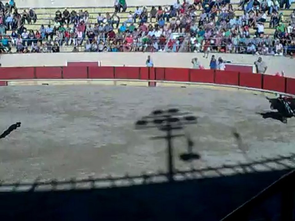 DIOGO CRUZ PEGA TOIRO DE INFANTE DA CAMARA NA PRAÇA DE TOIROS DO CARTAXO