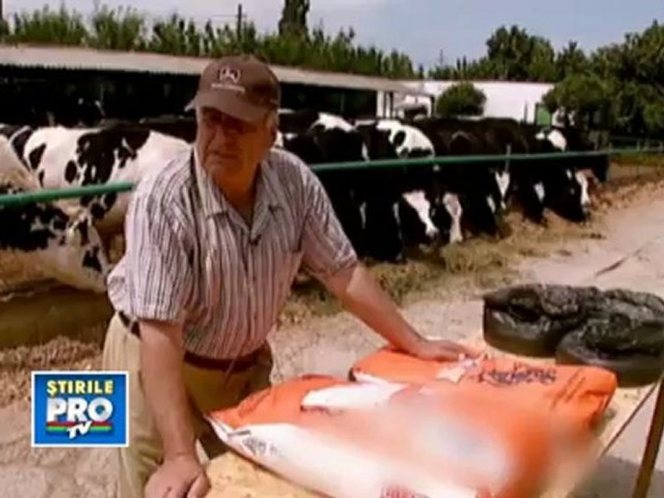 Organismele modificate genetic, de care ne tot ferim, sunt peste tot