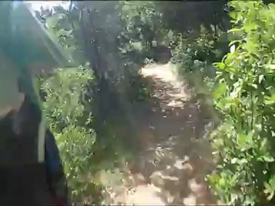 vtt