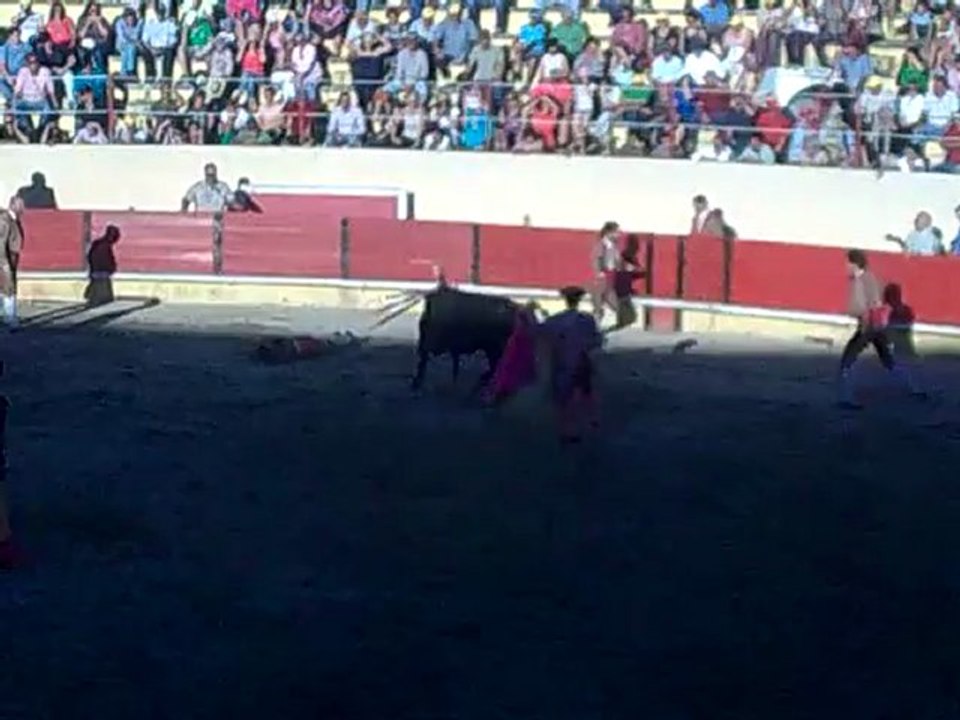 EMANUEL INJAY DOS AMADORES DA CHAMUSCA PEGA TOIRO DE INFANTE DA CAMARA NA PRÇA DE TOIROS DO CARTAXO