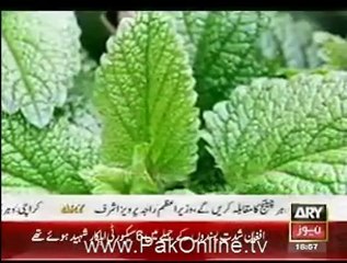 Health News By Ary - Podeeney Key Fawaid