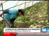 Familias de Lepaterique producen hortalizas orgánicas. Noticias Canal 10, 19 de junio del 2012.