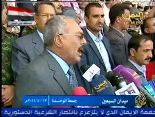 إستمرار المظاهرات المطالبة بتنحي صالح