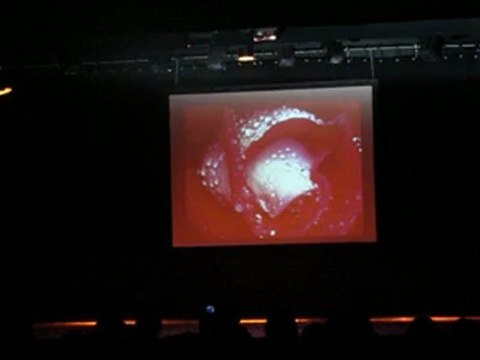 Modern'jazz 2012 0081